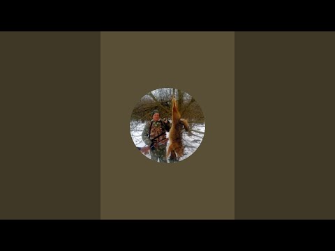 Видео: Евгений Молев в эфире