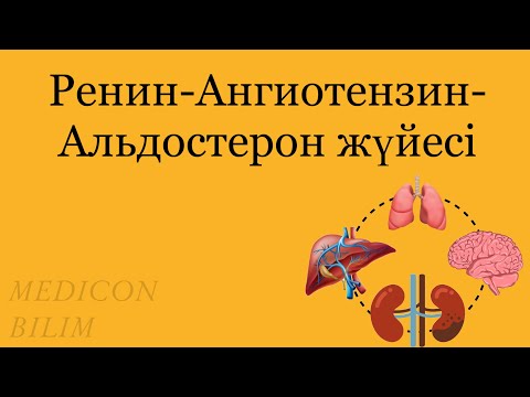 Видео: Ренин-Ангиотензин-Альдостерон жүйесі | РААС | Физиология курсқа тіркелу👇