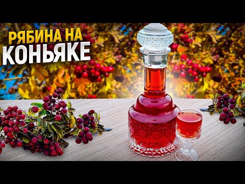 Видео: ❗️Гранатная Рябина на Коньяке! Готовлю много лет!👍  #настойка  #рябинанаконьяке