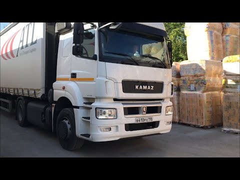 Видео: Спас МУХУ )