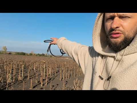 Видео: А для тебя, минус или плюс?