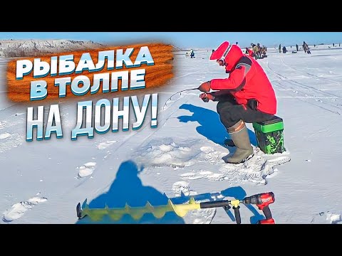 Видео: НА СНЕГОХОДЕ ВРЫВАЕМСЯ В ТОЛПУ! РЫБАЛКА НА ДОНУ! РЫБАЛКА НА СУДАКА ЗИМОЙ!