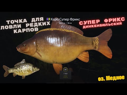 Видео: оз. Медное Русская рыбалка 4 (РР4) Точка для ловли редких Карпов