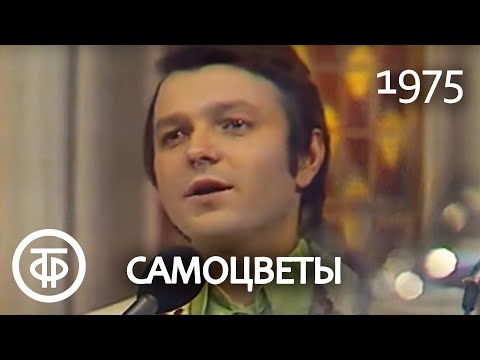 Видео: Ансамбль "Самоцветы" "Там, за облаками" Песня Марка Фрадкина на стихи Роберта Рождественского (1975)