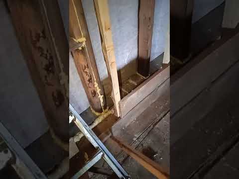 Видео: Как засыпать опилки в стену под самым потолком около верхней обвязки.