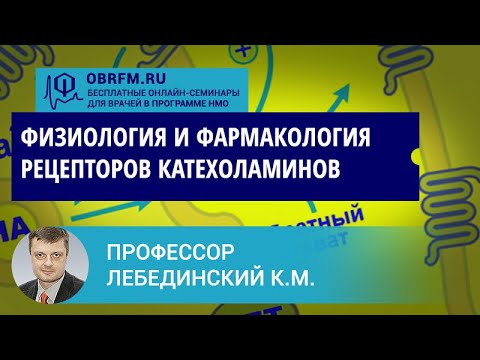 Видео: Профессор Лебединский К.М.: Физиология и фармакология рецепторов катехоламинов