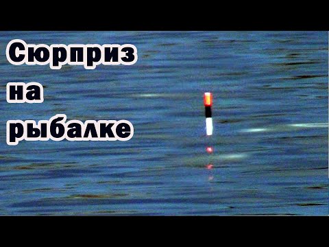 Видео: Крупная плотва на поплавок рано весной в непогоду! Такое разве возможно?? Я в шоке!
