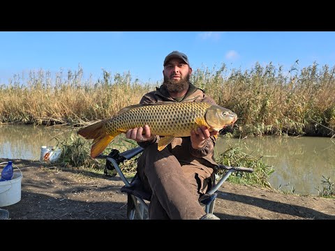 Видео: СРЕДНИЙ КАНАЛ ОСЕННЯЯ РЫБАЛКА 