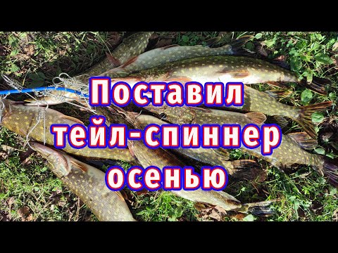 Видео: Цвет приманки удивил! Тейл-спиннер Осенью! Не успеваю доставать щук!