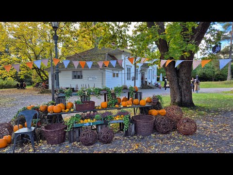 Видео: Экскурсия в атмосферное место.