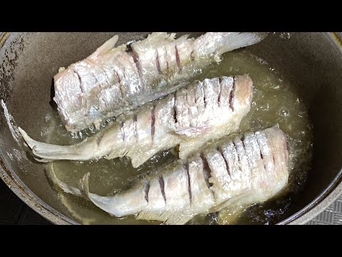 Видео: Атырау. Жайық өзені. Балық аулау процесі😄👍❤️🇰🇿