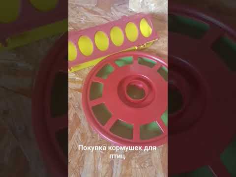 Видео: Кормушки. Начало птицеводства.