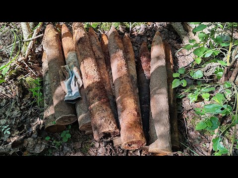 Видео: Про обыск дома, и схрон припасов в лесу.