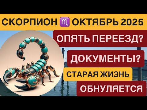Видео: СКОРПИОН ОКТЯБРЬ 2025 ♏️ Финансы, Работа, Карьера, Инвестиции, Отношения, Любовь