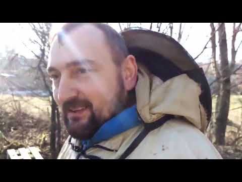 Видео: Евгений Рудь Германия о деревянных ульях пчеле  Бакфаст, Карника