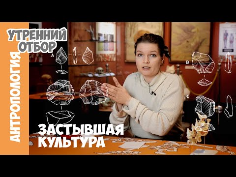 Видео: Застывшая культура в Сенегале. Елена Сударикова.