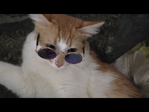 Видео: ОДИН ДЕНЬ ИЗ ЖИЗНИ обыкновенных ЛЮДЕЙ в ГЛУБИНКЕ! Всё как есть!