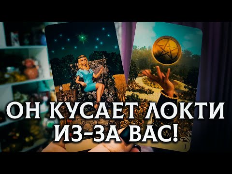 Видео: НЕ В БРОВЬ, А В ГЛАЗ! ОН КУСАЕТ ЛОКТИ ИЗ- ЗА ВАС!
