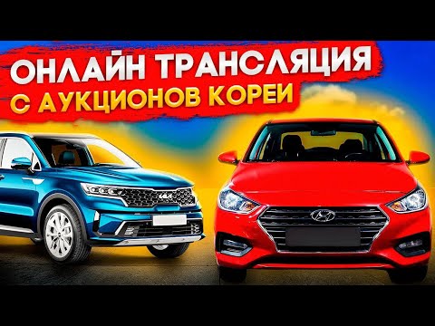 Видео: Топовые авто с аукционов Кореи в Прямом эфире что можно привезти без утильсбора от минпромторга