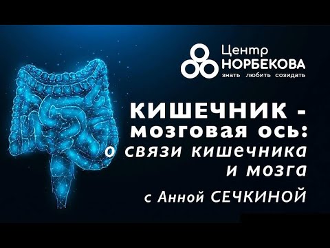 Видео: Октрытый вебинар с Анной Сечкиной "Кишечник — мозговая ось" 31 октября в 18:00