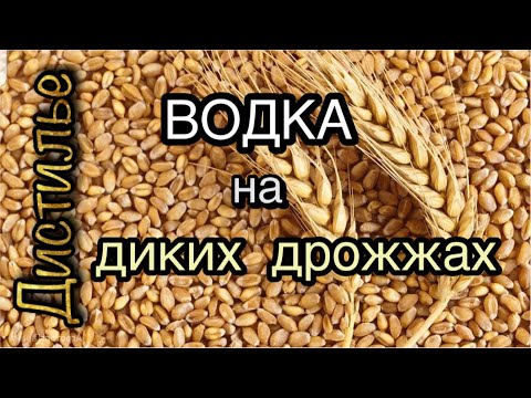 Видео: 💥Водка на диких дрожжах💥 на аппарате Luxstahl 7M