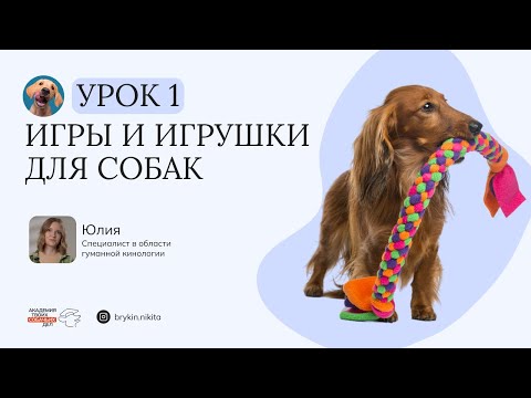 Видео: Игры и игрушки для собак. Урок 1