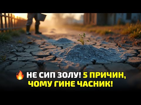Видео: Зола після листя — отрута для землі! Дивись, як врятувати врожай!