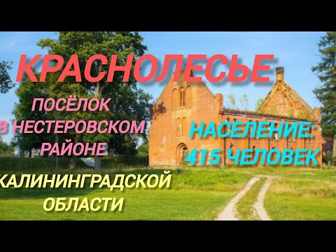 Видео: VLOG:  По историческим местам Калининградской области посёлок КРАСНОЛЕСЬЕ. посещение музея