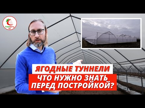 Видео: Особенности ягодных туннелей