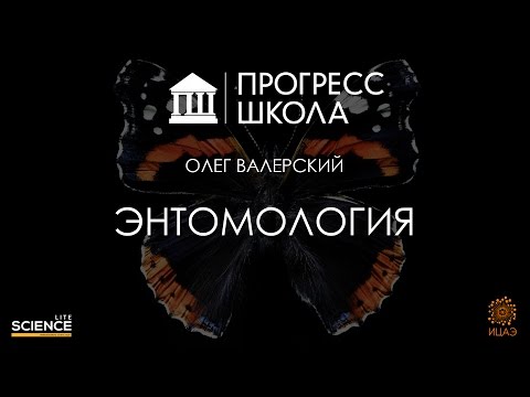 Видео: Олег Валерский — Энтомология