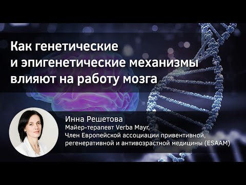 Видео: Влияние генетических и эпигенетических механизмов на работу мозга