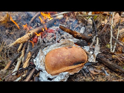 Видео: Поход с металлоискателем 2