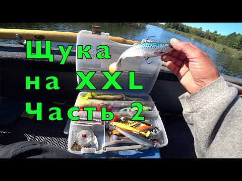 Видео: ЩУКА на КРУПНУЮ РЕЗИНУ.  Мои приманки. ОБЗОР КОРОБОЧКИ. .