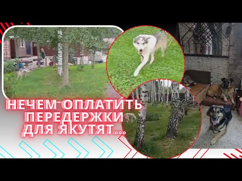 Видео: Мы на краю переломного периода. Будем жить или нет?!