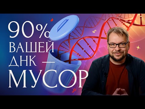 Видео: 90% вашей ДНК — мусор?