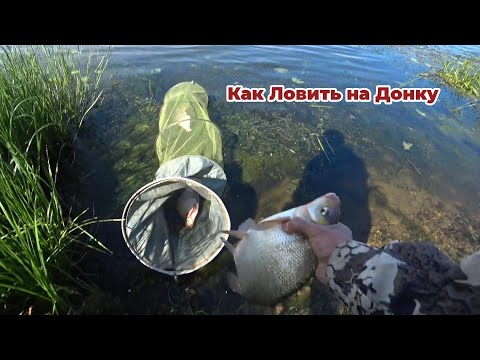 Видео: Снасть на Леща Которая Ловит! Рыбалка на Донки на Оке 2025! Для Начинающих