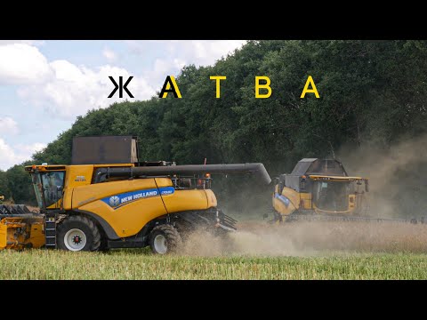 Видео: Уборка рапса и пшеницы / 5x NEW HOLLAND (CR9.80, CX8.80, CX8080), ПАЛЕССЕ GS12 и другие /