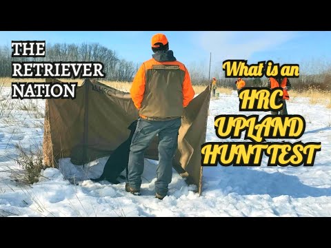 Видео: Что такое тест HRC Upland Hunt? Узнайте, к чему готовиться и чего ожидать от теста HRC Upland Hunt.