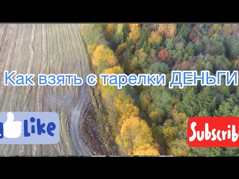 Видео: Металлокоп, как взять с тарелки деньги