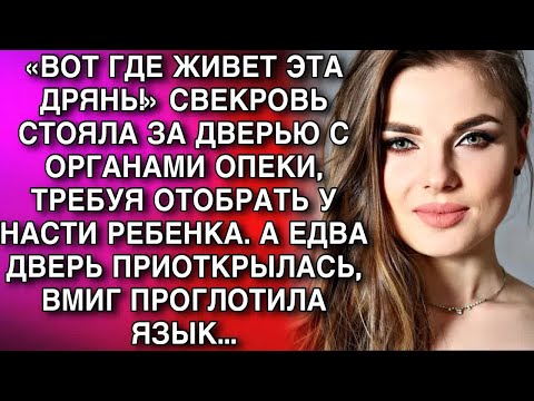 Видео: «ВОТ ГДЕ ЖИВЕТ ЭТА ДРЯНЬ!» СВЕКРОВЬ СТОЯЛА ЗА ДВЕРЬЮ С ОРГАНАМИ ОПЕКИ, ТРЕБУЯ ОТОБРАТЬ РЕБЕНКА