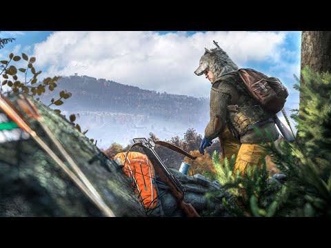 Видео: Я прожил ОДНУ ЖИЗНЬ! И вот как это было - DayZ