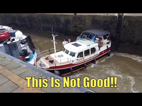 Видео: Эти гуганы попадают в засаду! | Гуганы недели