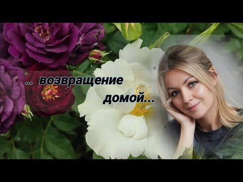 Видео: Vlog-242. Когда розовод счастлив?