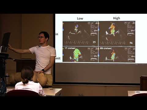 Видео: Эхокардиография. Занятие 13: Оценка регургитаций, часть 1: общие положения