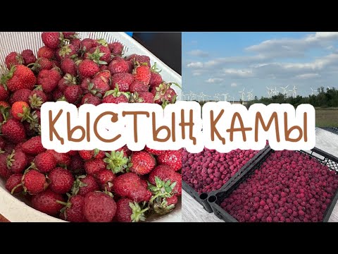 Видео: Қыстың қамы 