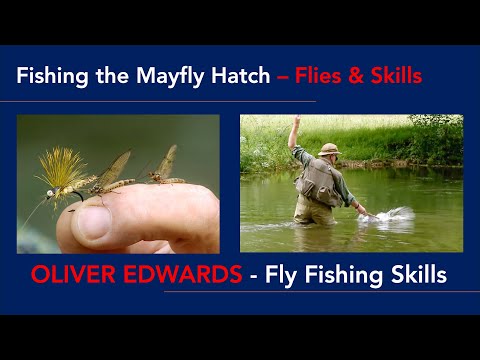 Видео: Оливер Эдвардс демонстрирует, как ловить вылупившуюся подёнку