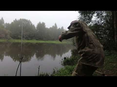 Видео: Рыбалка на Свислочи осенью, эксперименты с  прикормкой.