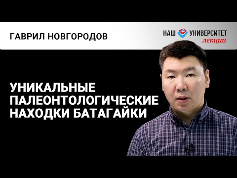 Видео: О палеонтологических находках в местонахождении Батагайка – Гаврил Новгородов