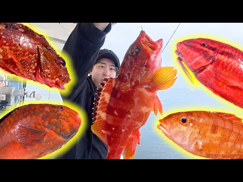 Видео: [С дроном] Только красные рыбы… пока не появилась та!?