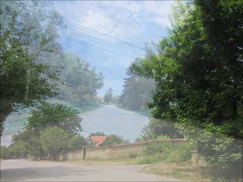 Видео: FROM PLEVEN DISTRICT / part  20/. Асеновци, община Левски
